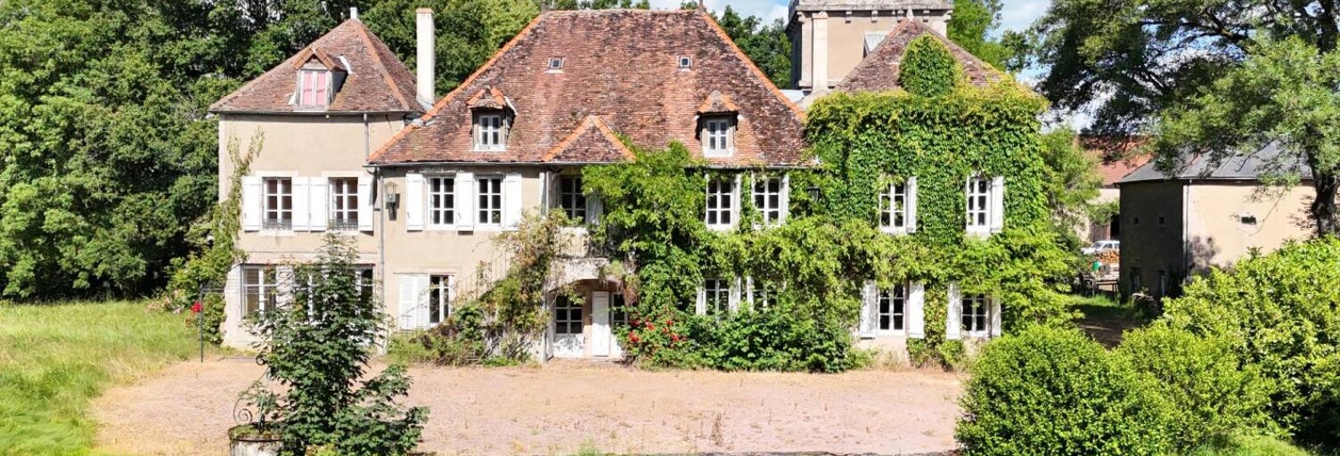 Maison 18 Pièces 515 m² à vendre à Laizy (71190)