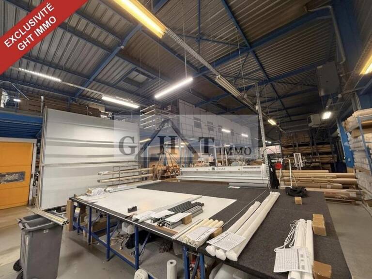 1 137 M2 - ENTREPOT BUREAUX A VENDRE A EMERAINVILLE — photo 1