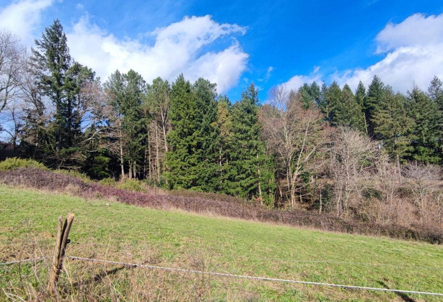 Terrain À Vendre — photo 1
