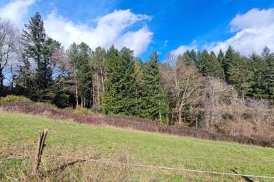 Terrain  55000 €