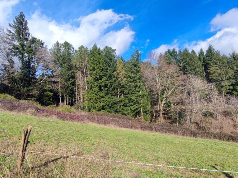 Terrain À Vendre — photo 1