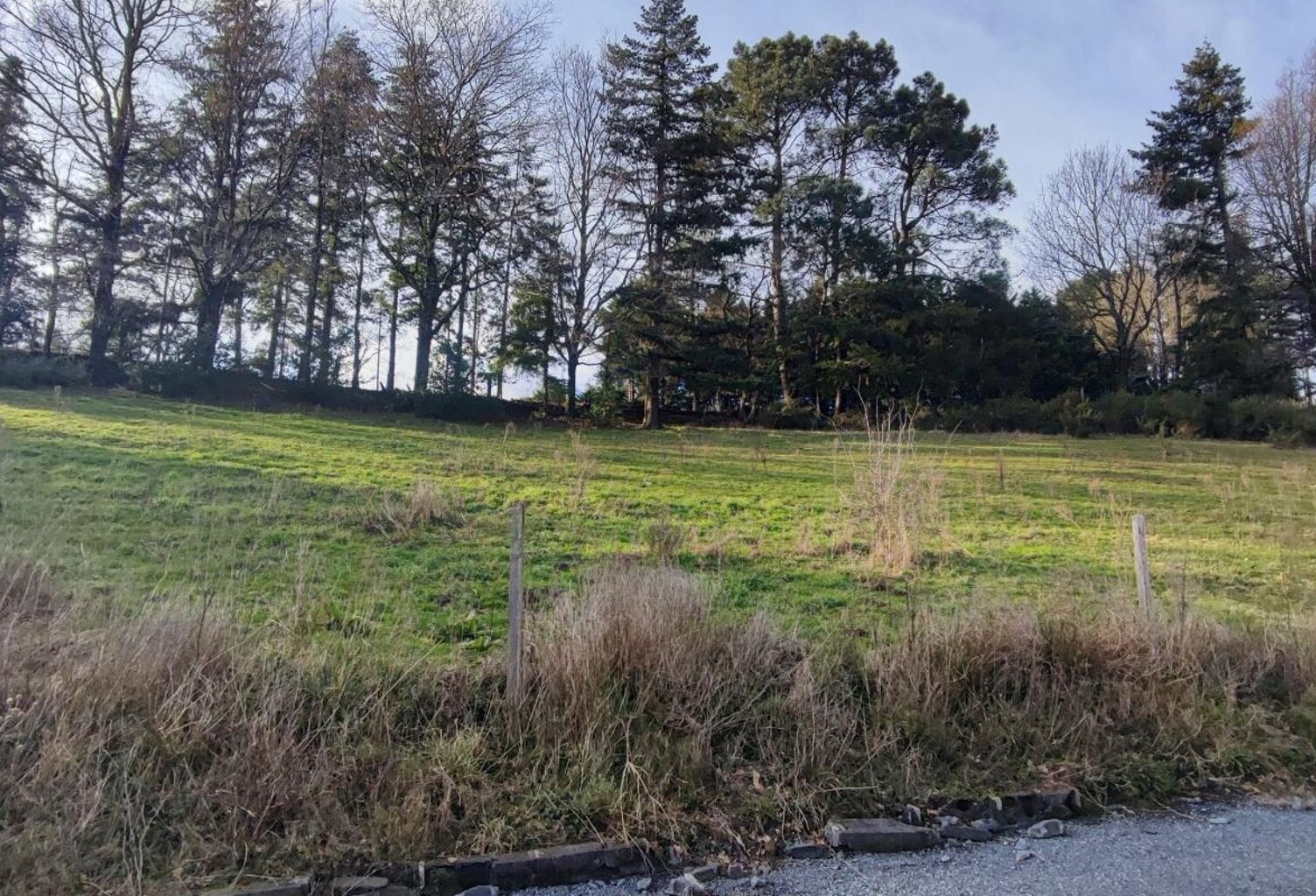 Terrain À Vendre — photo 1