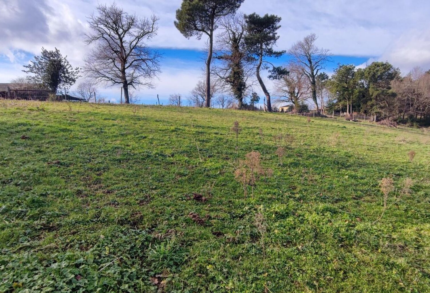 Terrain À Vendre — photo 1