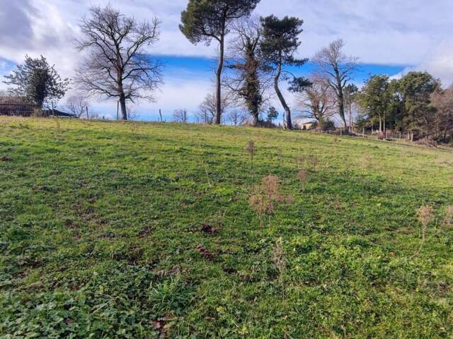 Terrain À Vendre — photo du bien