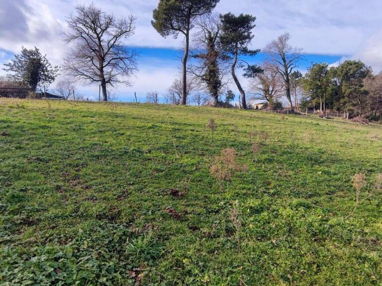 Terrain À Vendre — photo 1