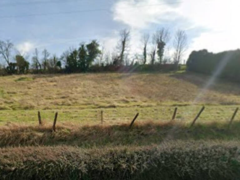 Terrain  6767 m2 — photo 1