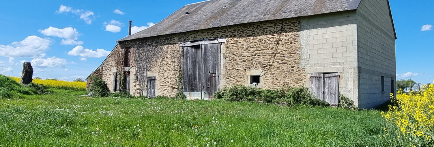 Maison 203 m² en viager Sazeray (36160)