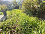 Maison 3 chambres, jardin, cave St Roch Amiens — photo 3