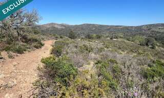 Terrain  25000 m² à vendre à Estagel (66310)