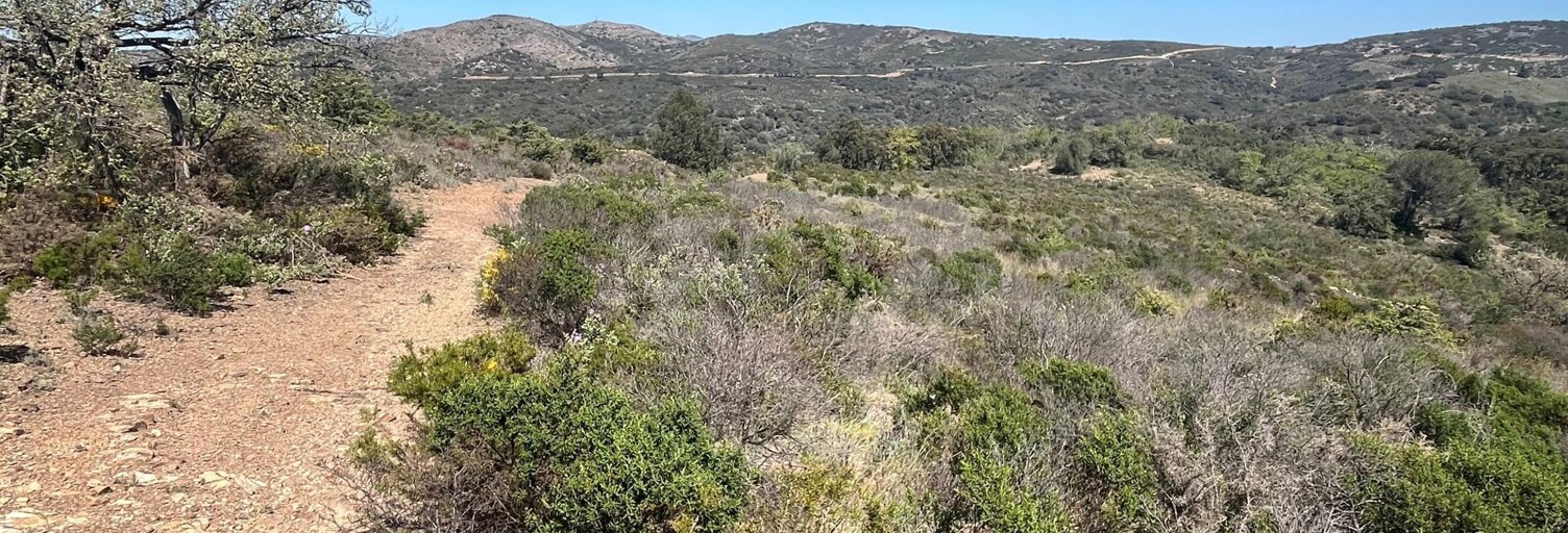 Terrain  25000 m² à vendre à Estagel (66310)