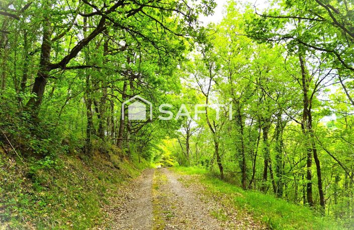 HABITER AU MILIEU FORET : Eau - Elec - Fibre - 3ch — photo 2