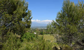 Terrain  20000 m² à vendre à Carpentras (84200)