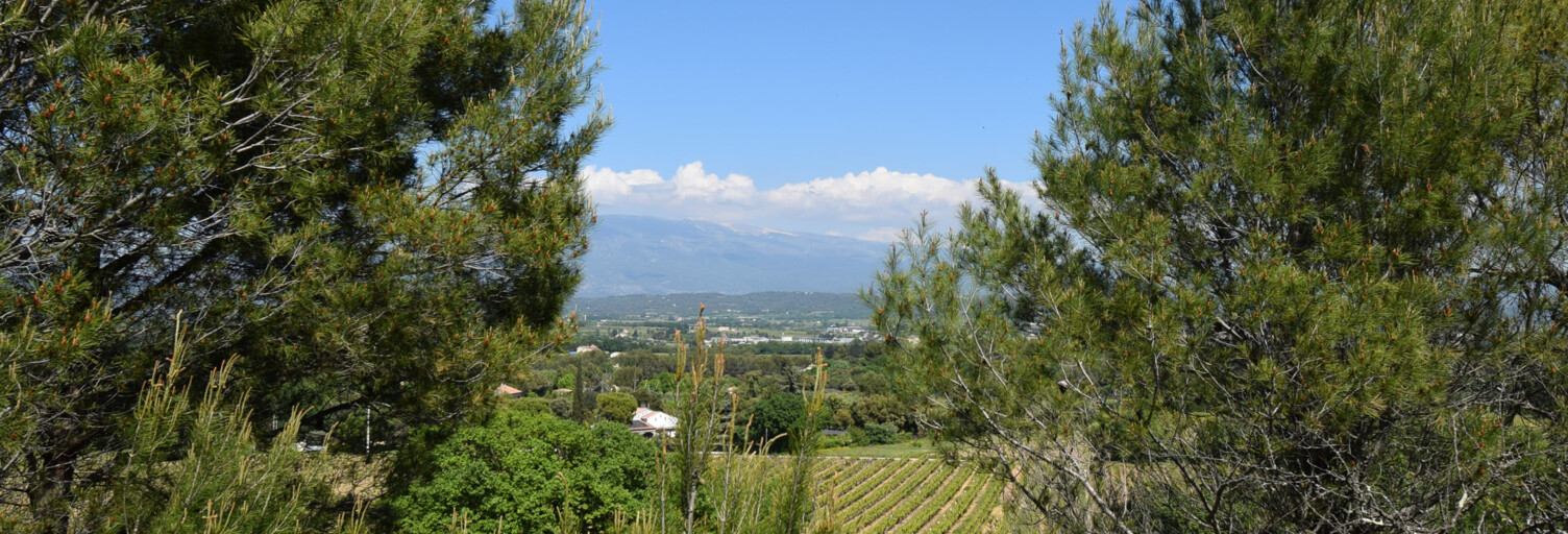 Terrain  20000 m² à vendre à Carpentras (84200)