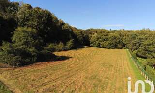 Terrain  3500 m² à vendre à Neuville-sur-Ain (01160)