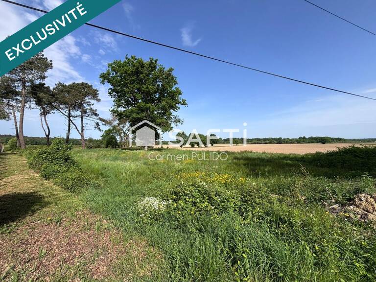 Terrain constructible de 3 852 m2 — photo 1