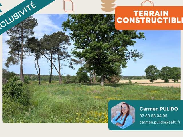 Terrain constructible de 3 852 m2 — photo du bien