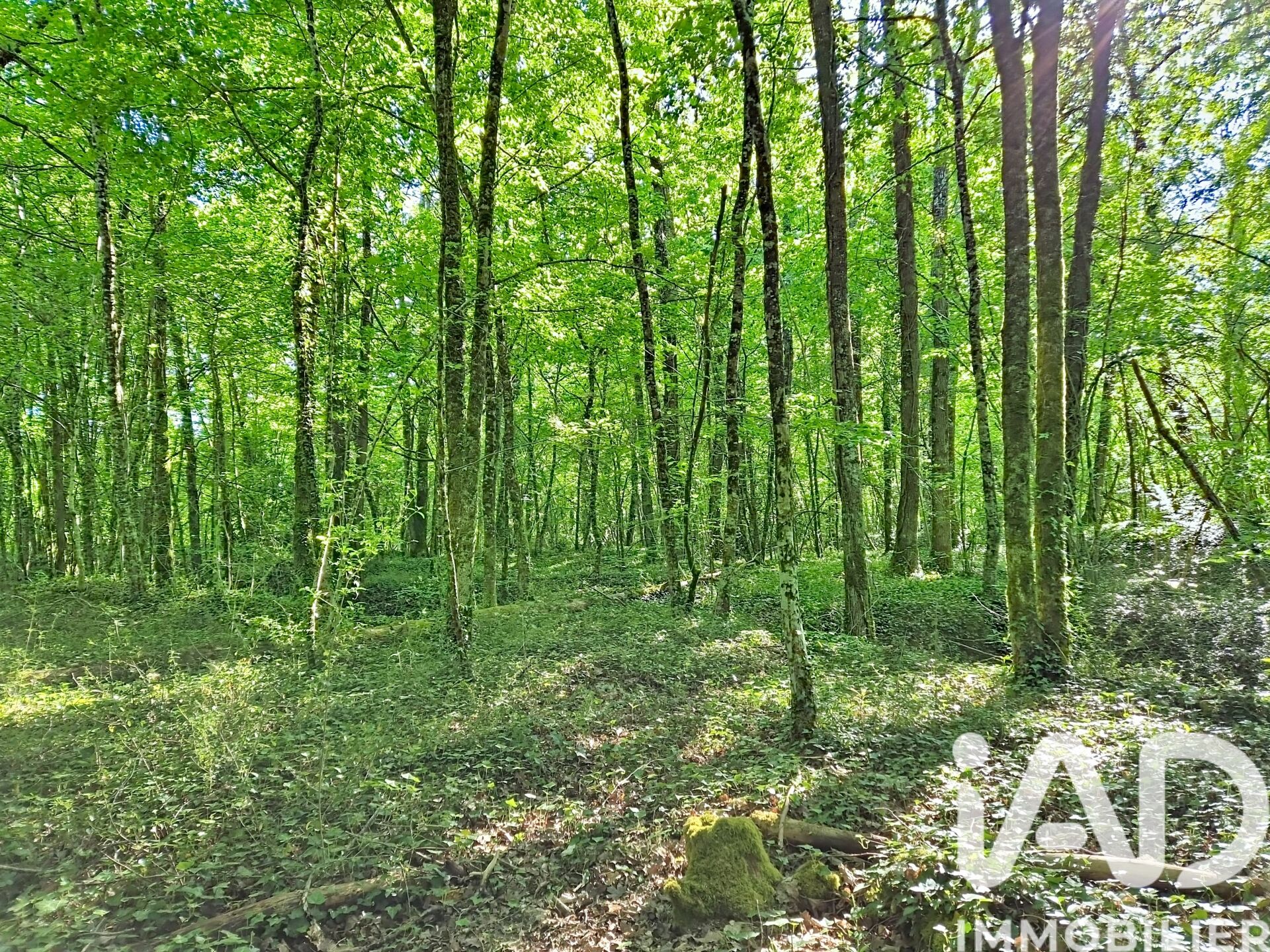 Vente Maison de campagne 5 pièces - Photo 2