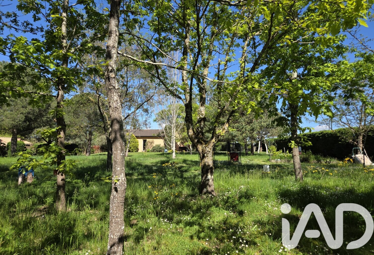 Vente Terrain 800 m&sup2; — photo 1