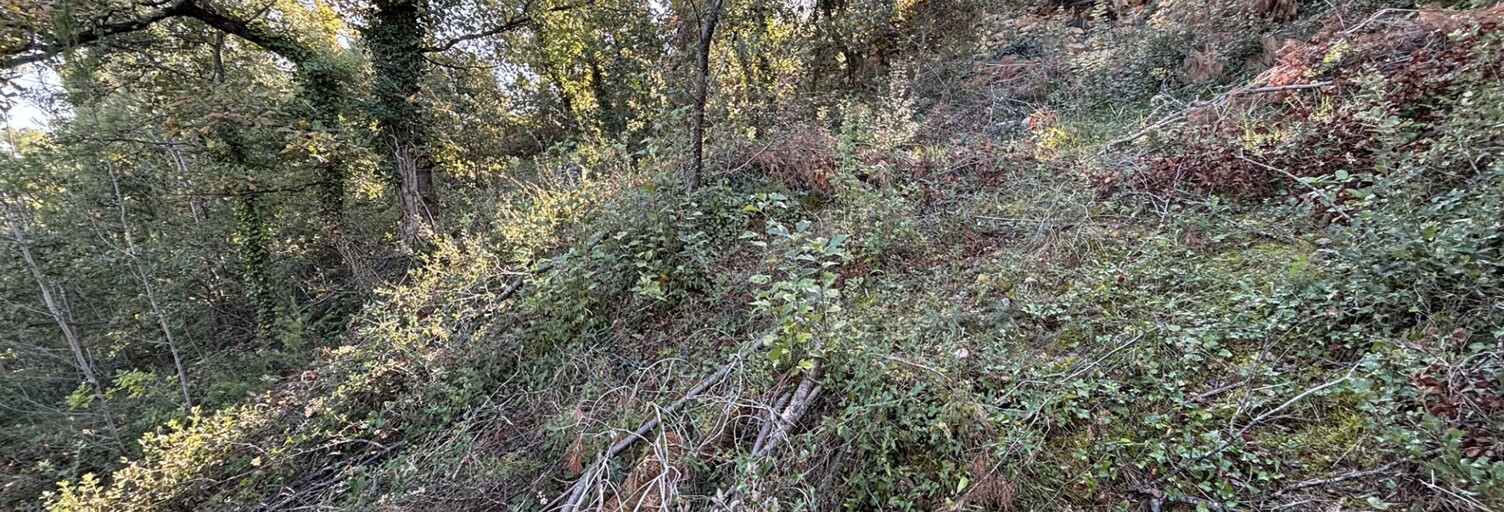 Terrain  735 m² à vendre à Flassans-sur-Issole (83340)