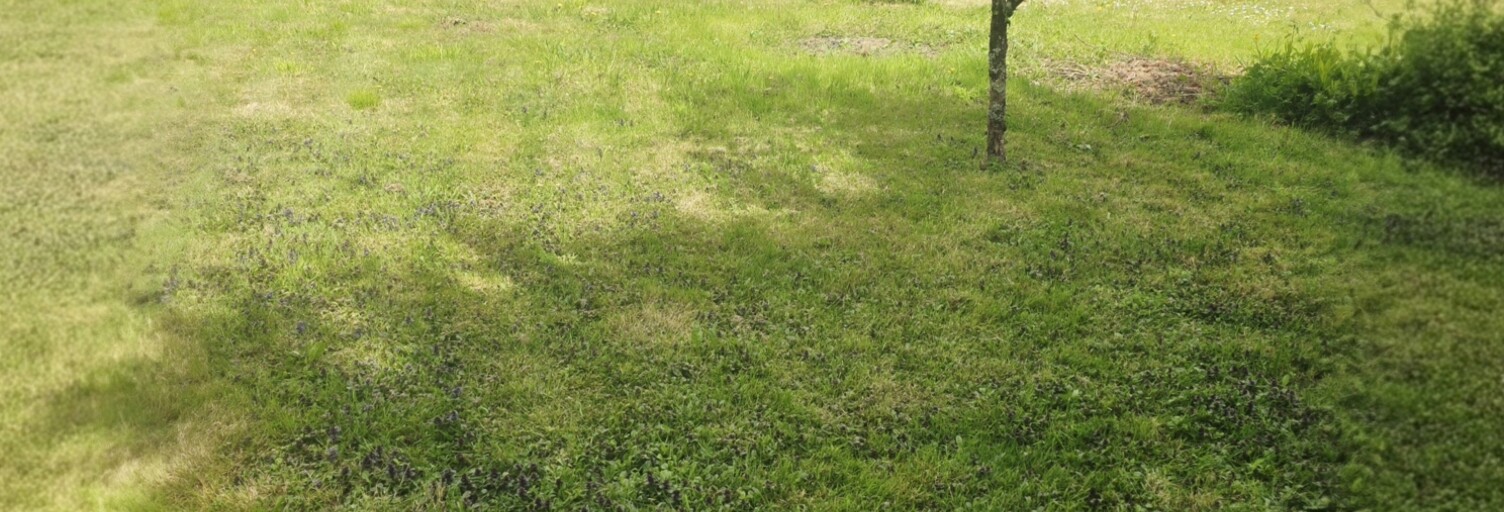 Terrain  588 m² à vendre à Saint-Lyphard (44410)