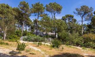 Maison 6 Pièces 152 m² à vendre à Le Cap-Ferret (33970)