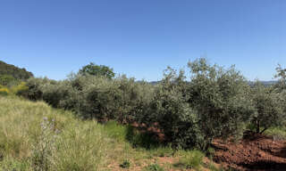 Terrain  932 m² à vendre à Puget-Ville (83390)