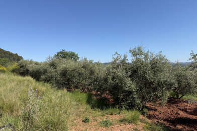 Terrain  205000 €
