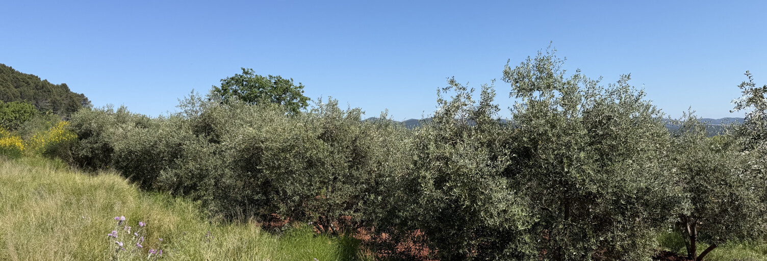 Terrain  932 m² à vendre à Puget-Ville (83390)
