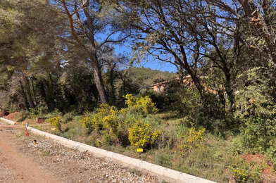 Terrain  160000 €