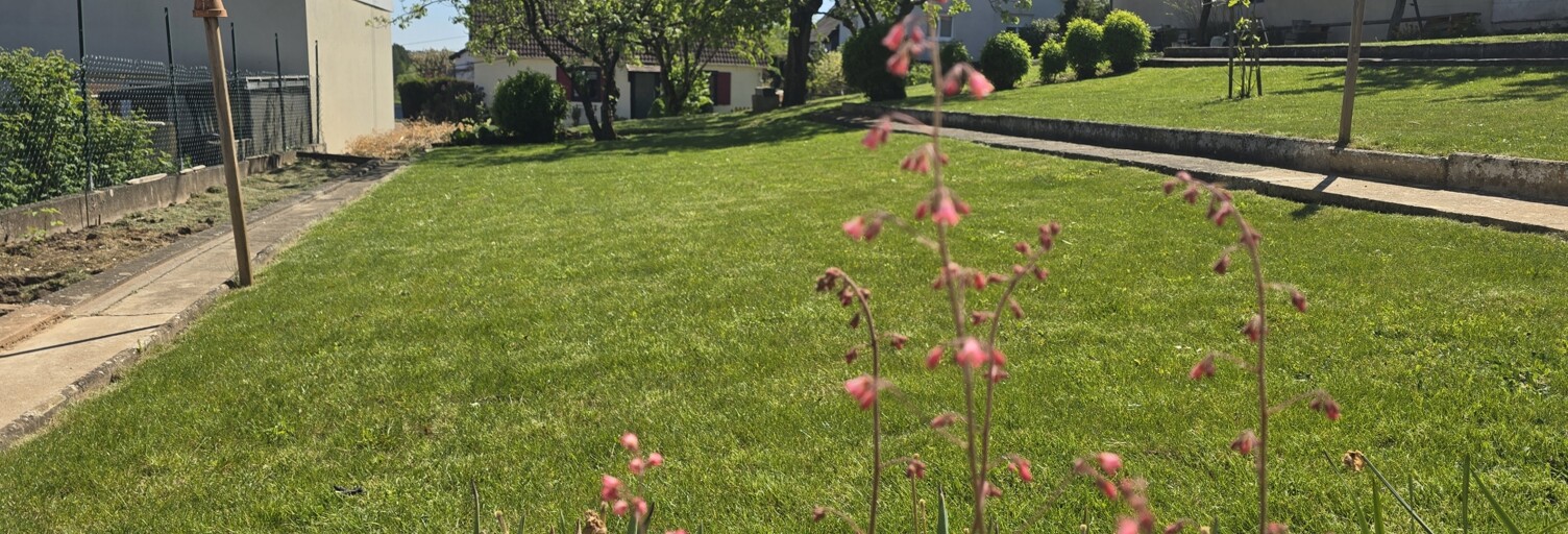 Photo N° 2
