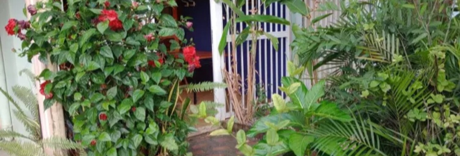 Appartement 1 Pièce 19 m² à vendre à Sainte-Anne (97227)