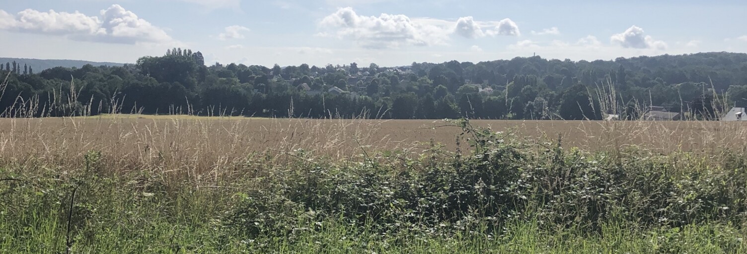 Terrain  2330 m² à vendre à Le Tremblay-sur-Mauldre (78490)