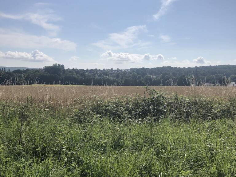Vente Terrain à bâtir 2 330 m&sup2; — photo 1