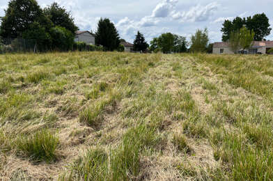 Terrain  50000 €