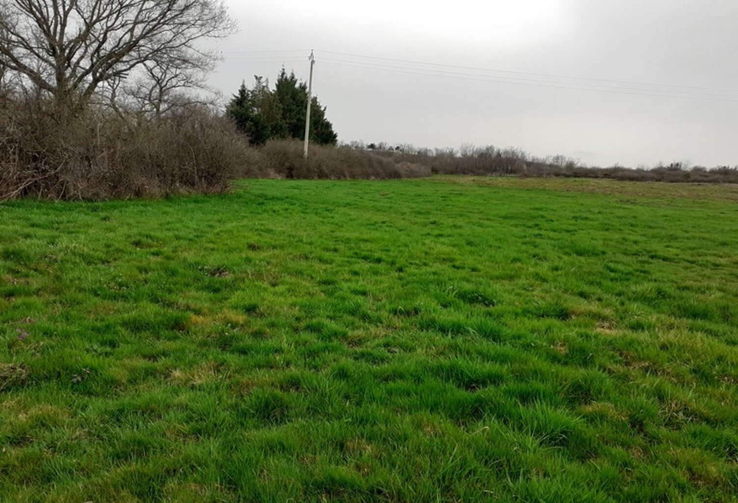 BEAUVALLON (69700) SAINT ANDEOL LE CHATEAU, terrain agricole de 23 055 m2 — photo 1