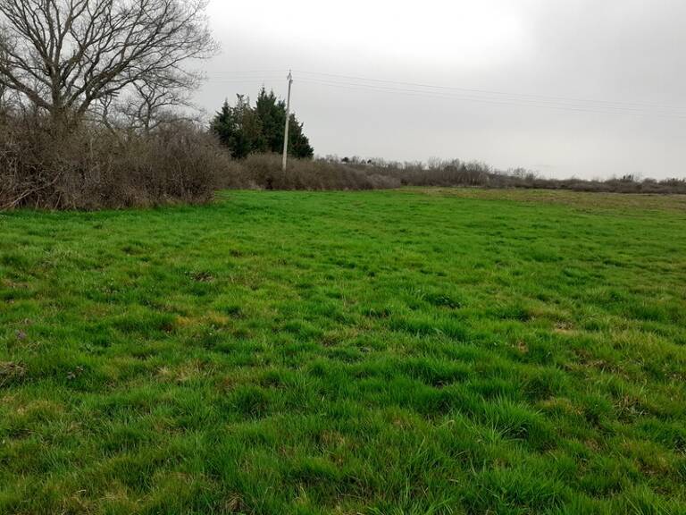 BEAUVALLON (69700) SAINT ANDEOL LE CHATEAU, terrain agricole de 23 055 m2 — photo 1