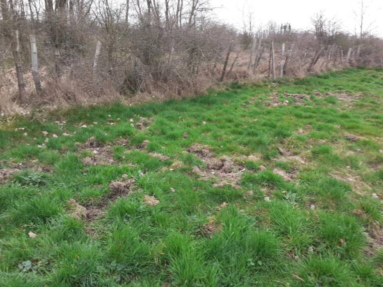 BEAUVALLON (69700) SAINT ANDEOL LE CHATEAU, terrain agricole de 23 055 m2 — photo 1