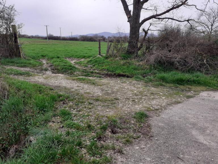 BEAUVALLON (69700) SAINT ANDEOL LE CHATEAU, terrain agricole de 23 055 m2 — photo 1