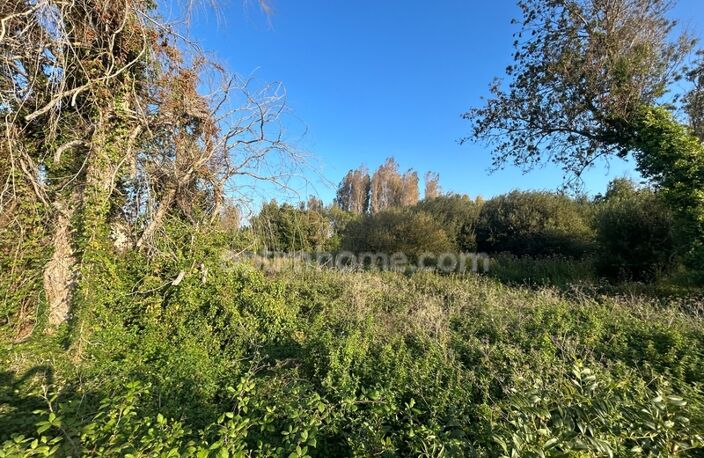 Terrain constructible avec permis purgé à vendre de 2500 m² SAINT GEORGES D'OLERON (17) — photo 2