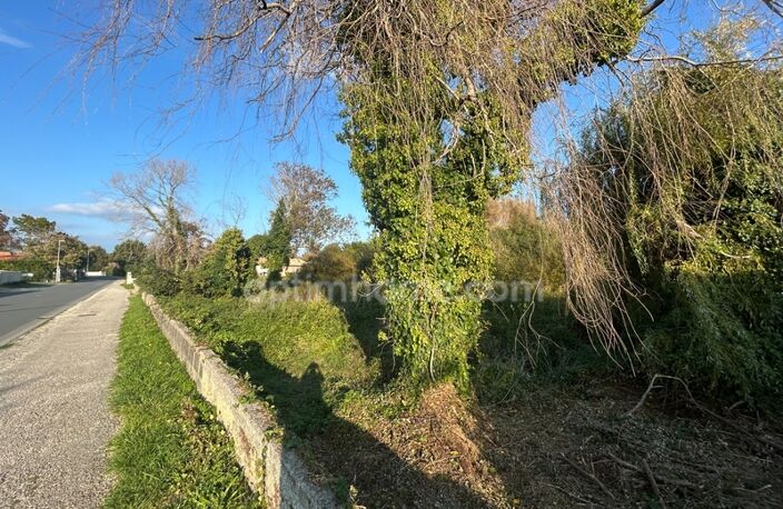Terrain constructible avec permis purgé à vendre de 2500 m² SAINT GEORGES D'OLERON (17) — photo 4