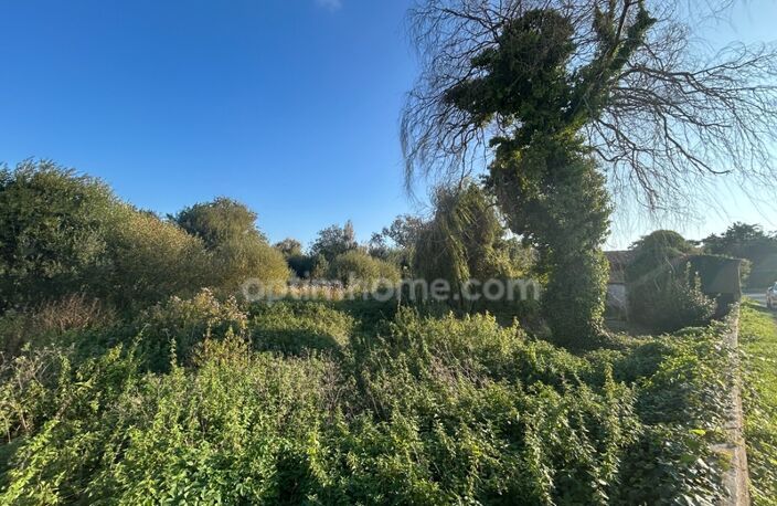 Terrain constructible avec permis purgé à vendre de 2500 m² SAINT GEORGES D'OLERON (17) — photo 5