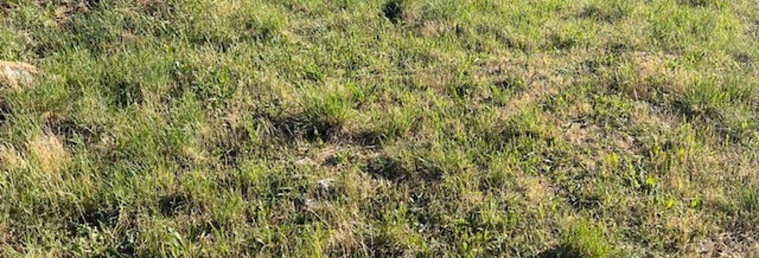 Terrain 500 m² à construire Brignoles (83170)