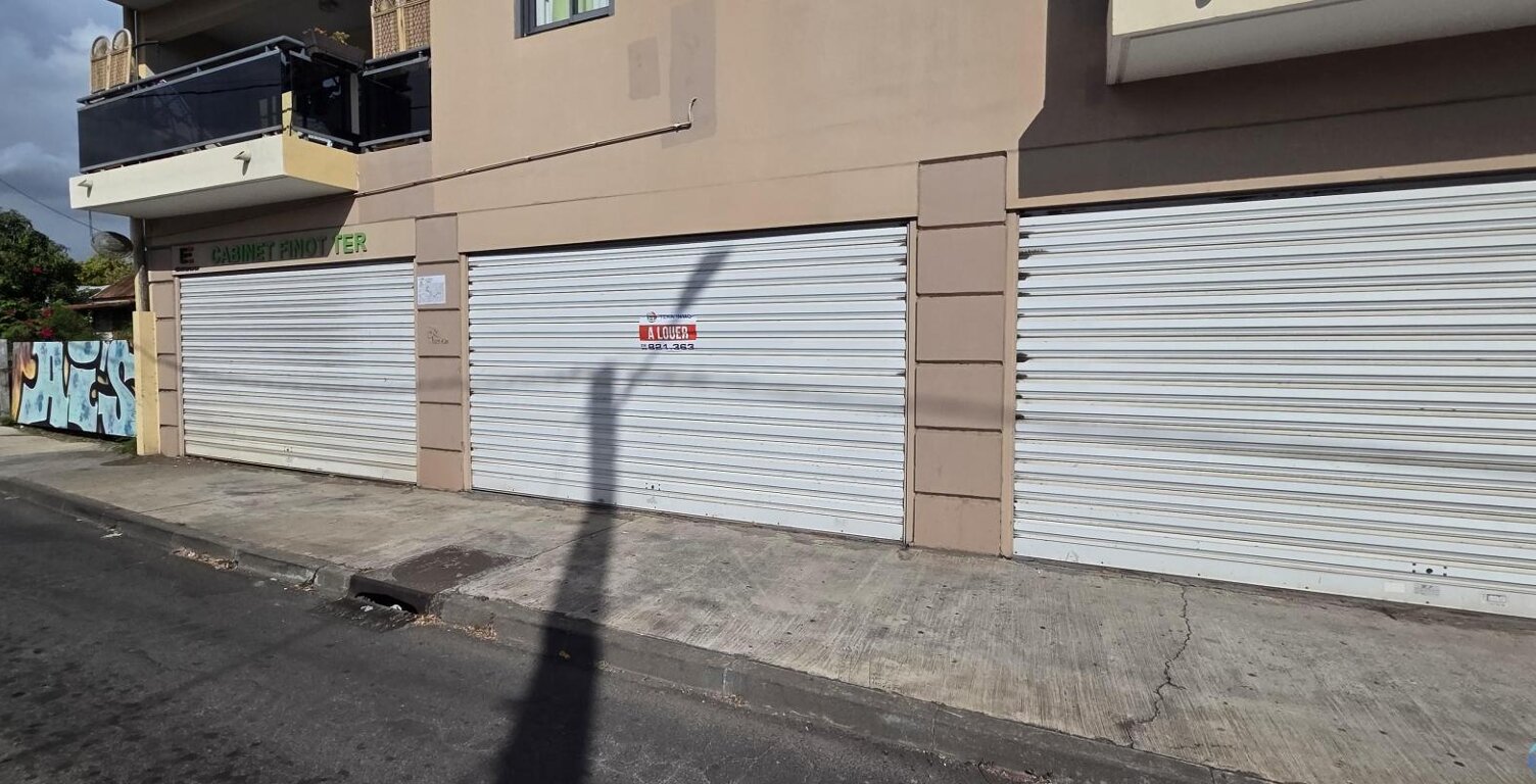 A LOUER LOCAL DE 240M² ENV ST LOUIS — photo 1