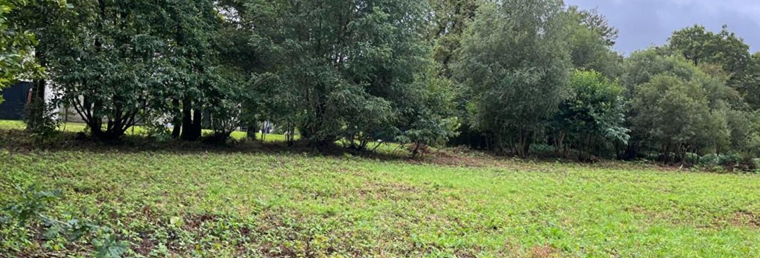 Terrain  1155 m² à vendre à Treffrin (22340)