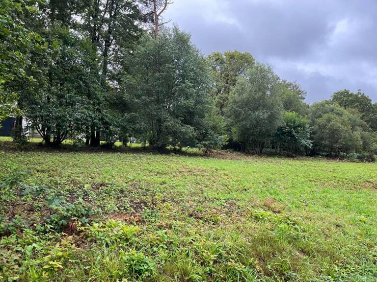 Terrain Treffrin 1155 m2 — photo 1