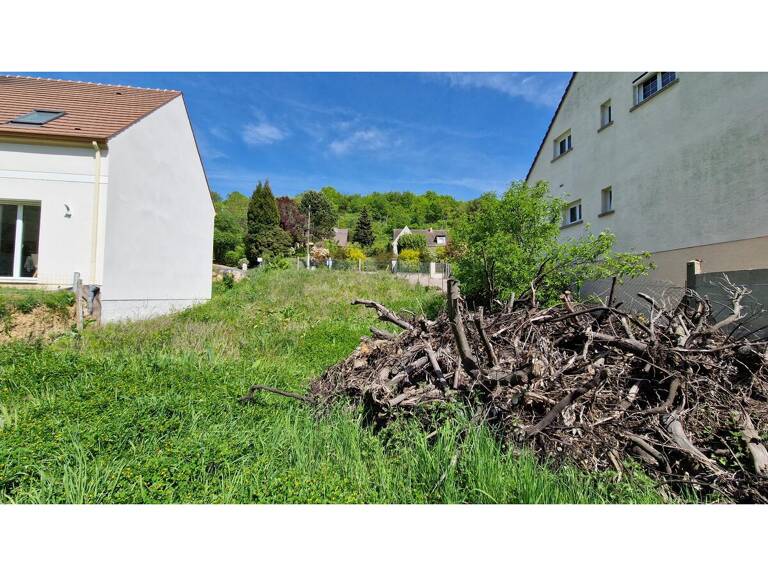 Terrain — photo 1