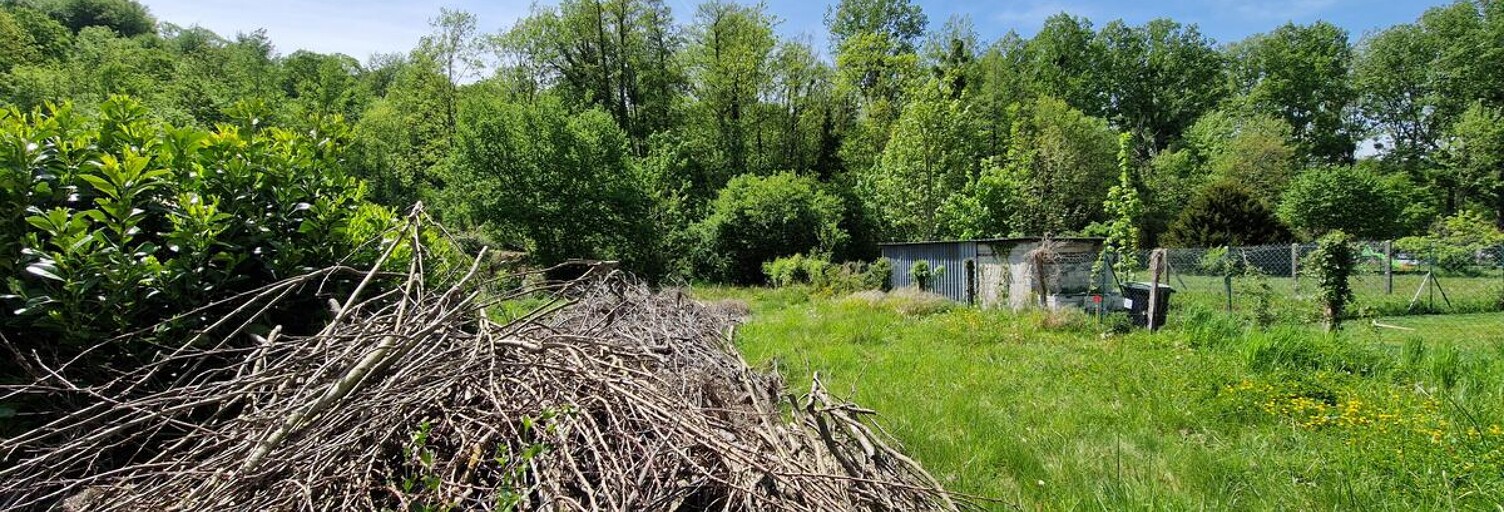 Photo N° 2
