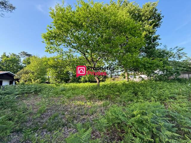 HOURTIN PORT - TERRAIN VIABILISE  - 989M2 -  DOUBLE CONSTRUCTION POSSIBLE — photo du bien