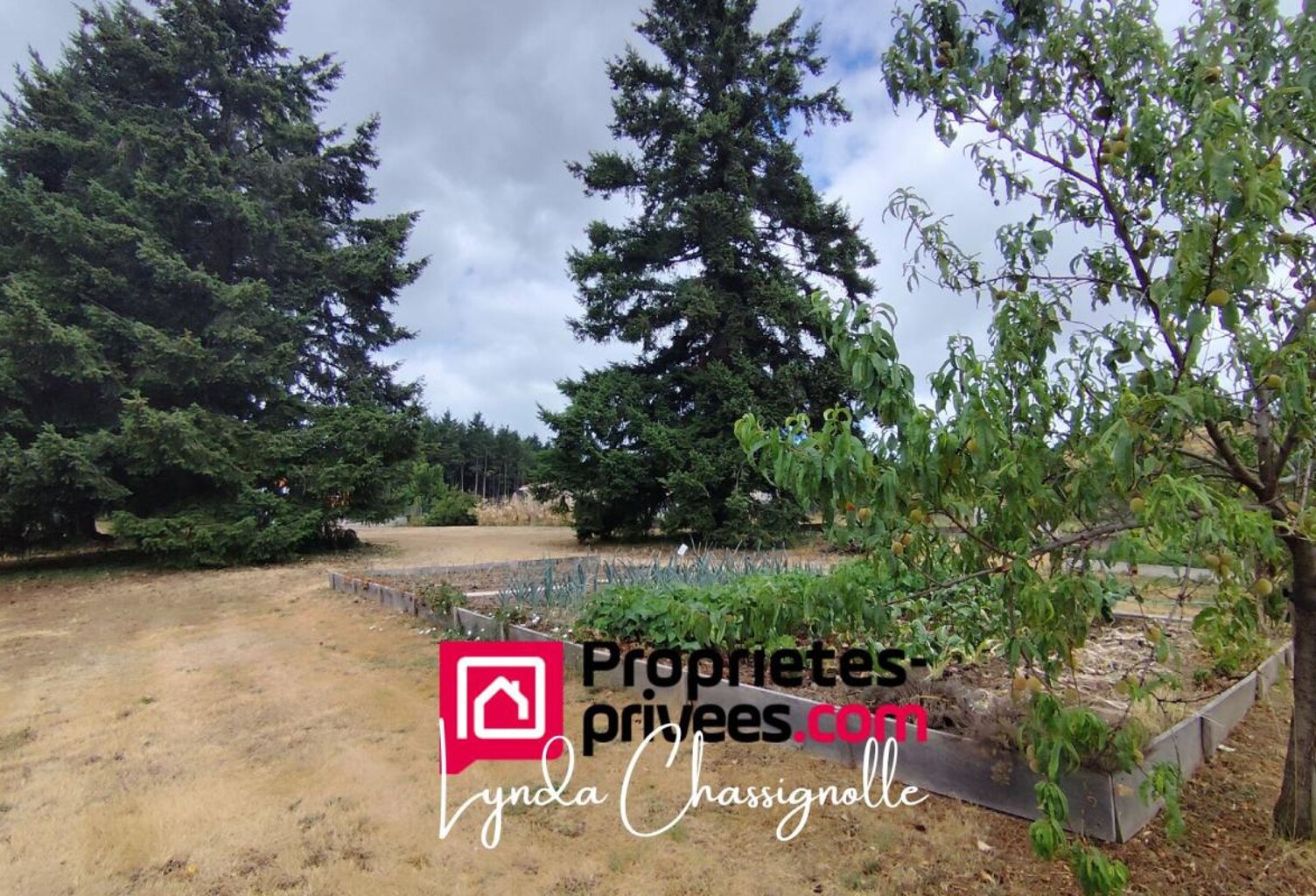 Parcelle constructible - Côte Roannaise - 1100 m2 — photo 1