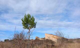 Terrain  45000 m² à vendre à Caux (34720)